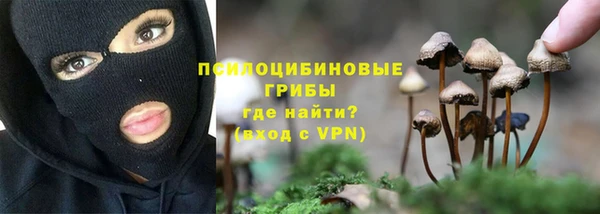 стафф Мегион