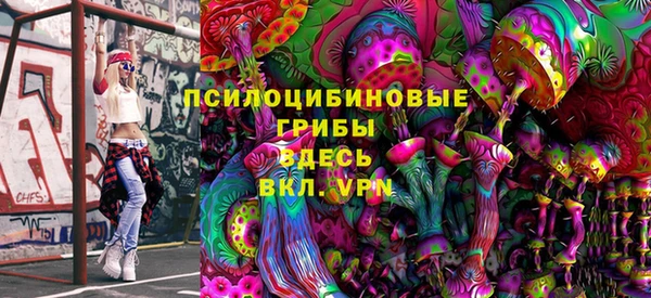 экстази Медвежьегорск