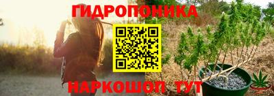 apvp Гусев