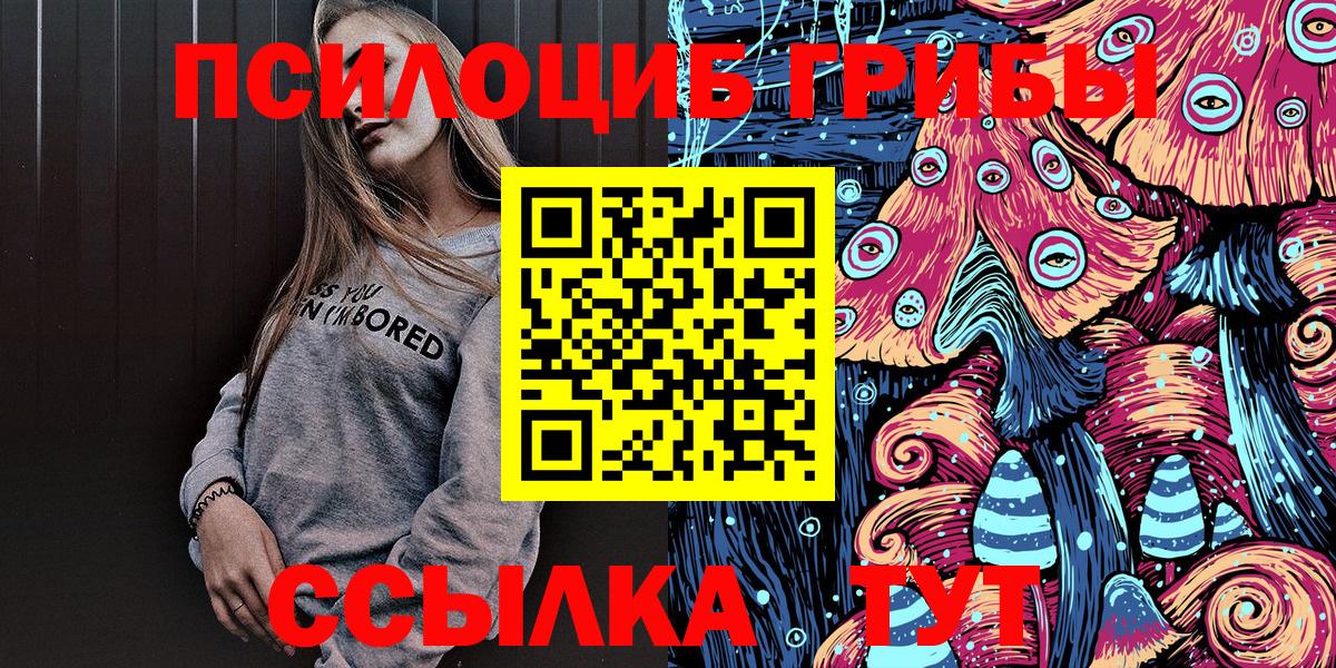 Галлюциногенные грибы Psilocybe  Каменск-Уральский  Галлюциногенные грибы мицелий 