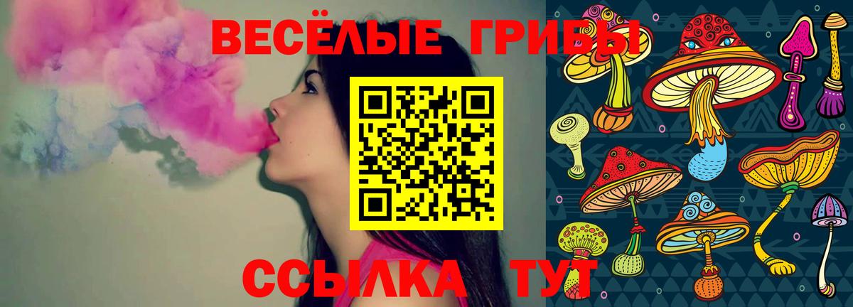Псилоцибиновые грибы мухоморы Каменск-Уральский