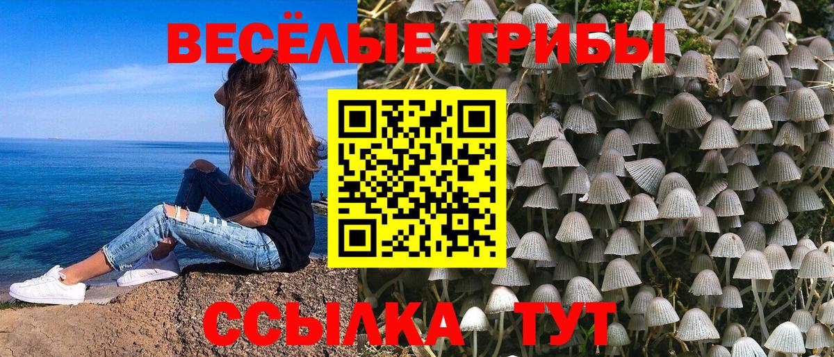 ГАШИШ  Канабис  МЕФ кристаллы  Каменск-Уральский  ГАШИШ  MDMA  Cocaine  Вход с VPN  Alpha PVP СОЛЬ кристаллы 